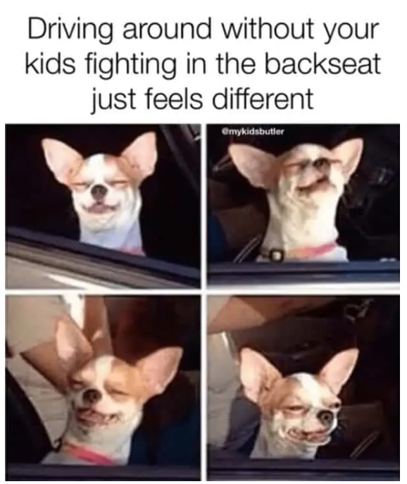 Driving around without your kids fighting in the backseat just feels different @mykidsbutler