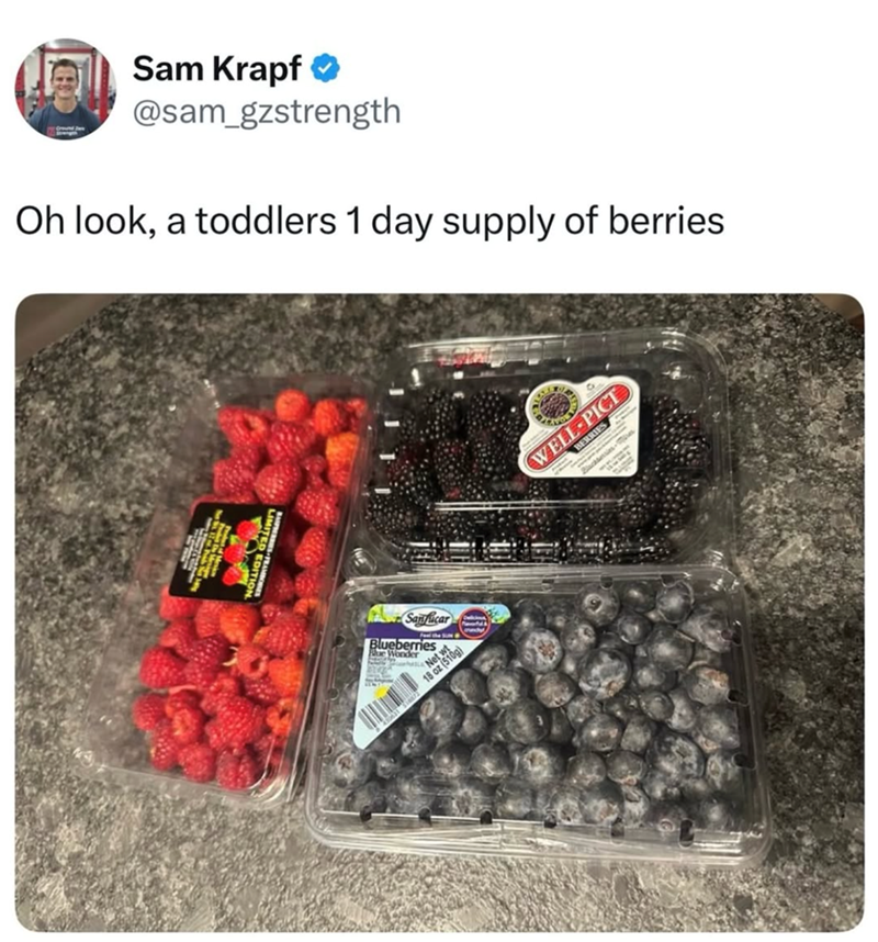 Sam Krapf❤ @sam_gzstrength Oh look, a toddlers 1 day supply of berries ED EDITION Sanficar Blueberries Blue Wonder Net wt 18 oz (510g) WELL-PICT