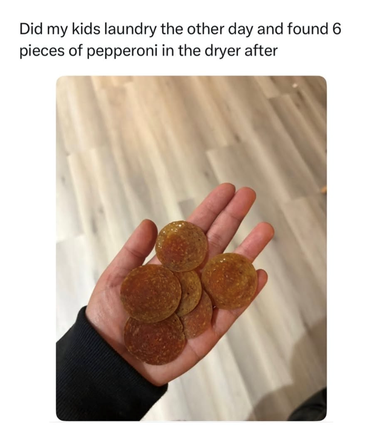 Did my kids laundry the other day and found 6 pieces of pepperoni in the dryer after