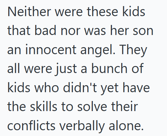 Neither were these kids that bad nor was her son an innocent angel. They all were just a bunch of kids who didn't yet have the skills to solve their conflicts verbally alone.