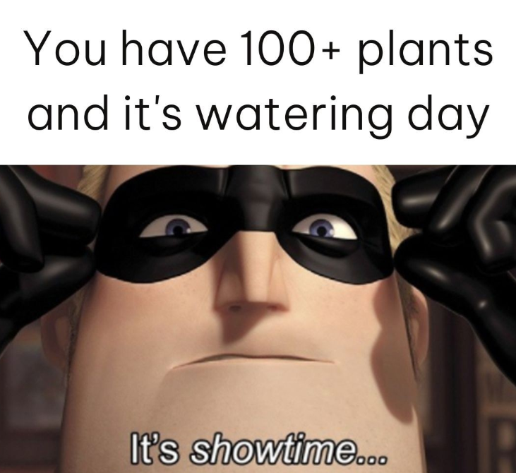 You have 100+ plants and it's watering day It's showtime...