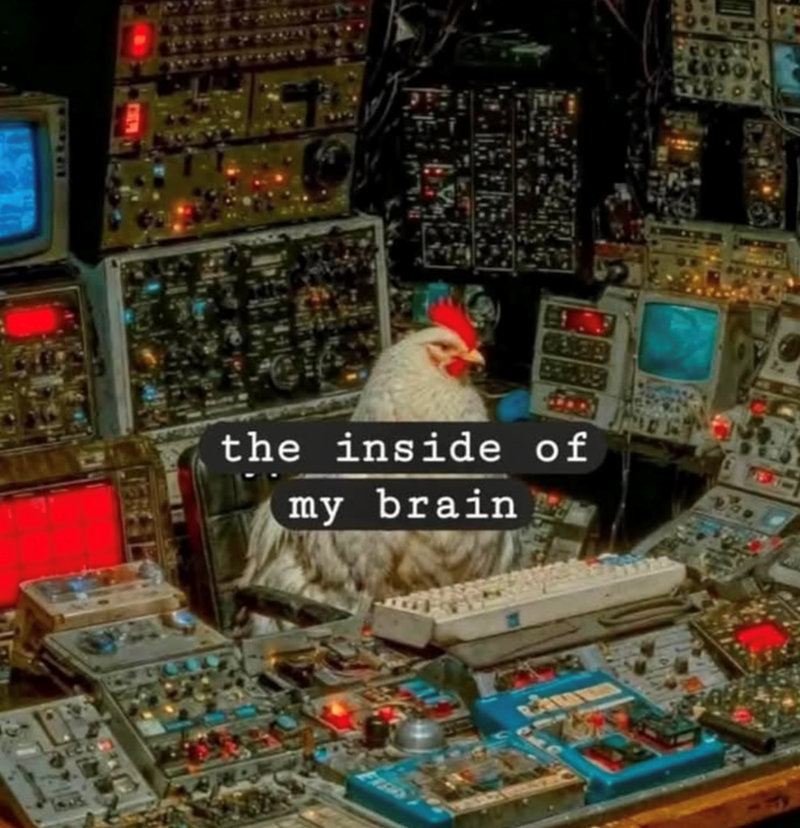 the inside of my brain