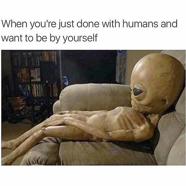 When you're just done with humans and want to be by yourself