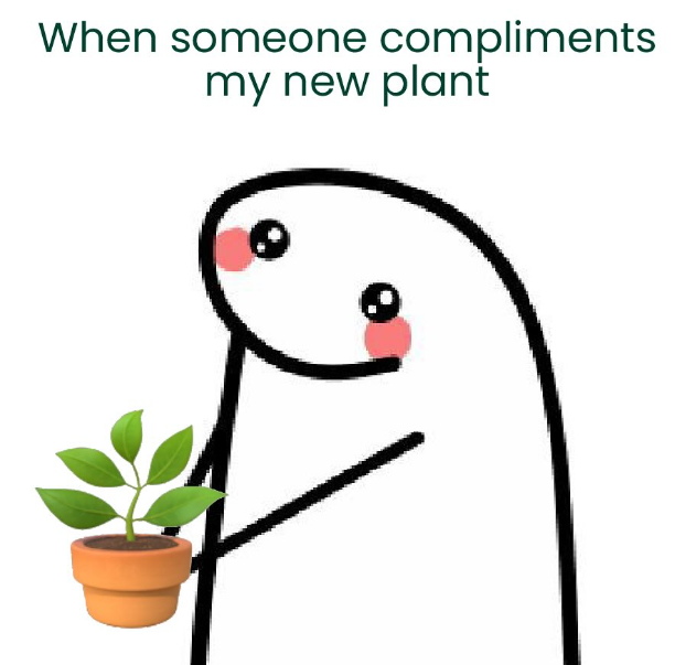 When someone compliments my new plant