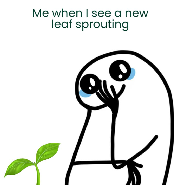 Me when I see a new leaf sprouting