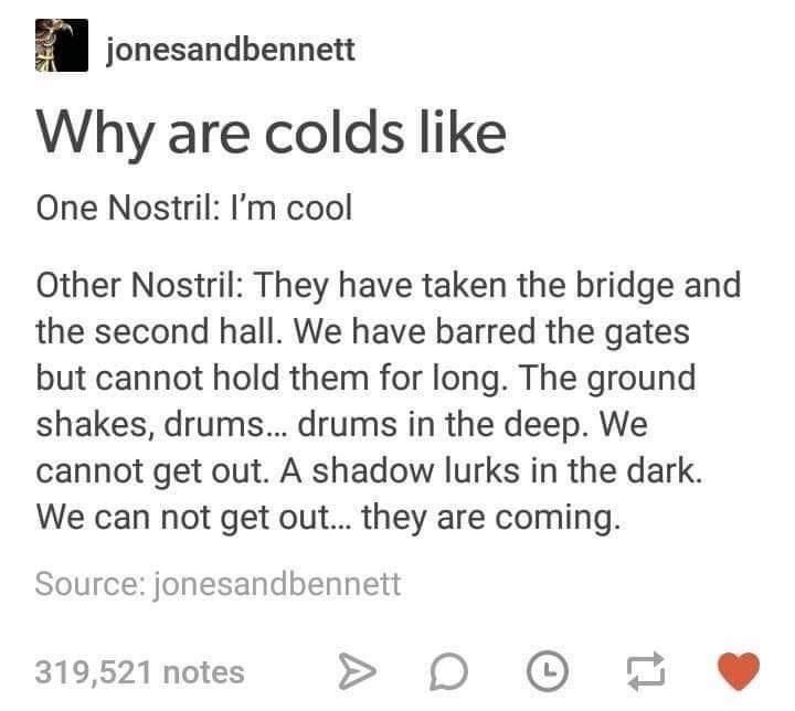 jonesandbennett Why are colds like One Nostril: I'm cool Other Nostril: They have taken the bridge and the second hall. We have barred the gates but cannot hold them for long. The ground shakes, drums... drums in the deep. We cannot get out. A shadow lurks in the dark. We can not get out... they are coming. Source: jonesandbennett 319,521 notes D