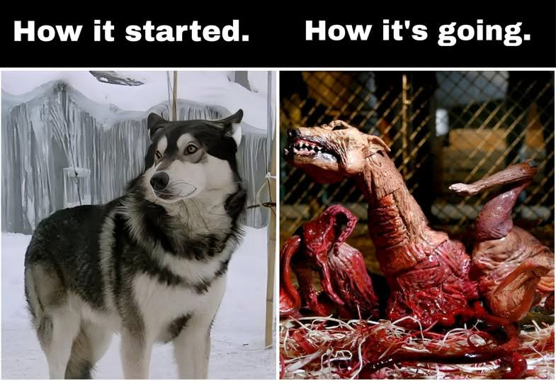 How it started. How it's going.