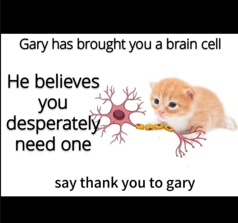 Gary has brought you a brain cell He believes you desperately need one say thank you to gary