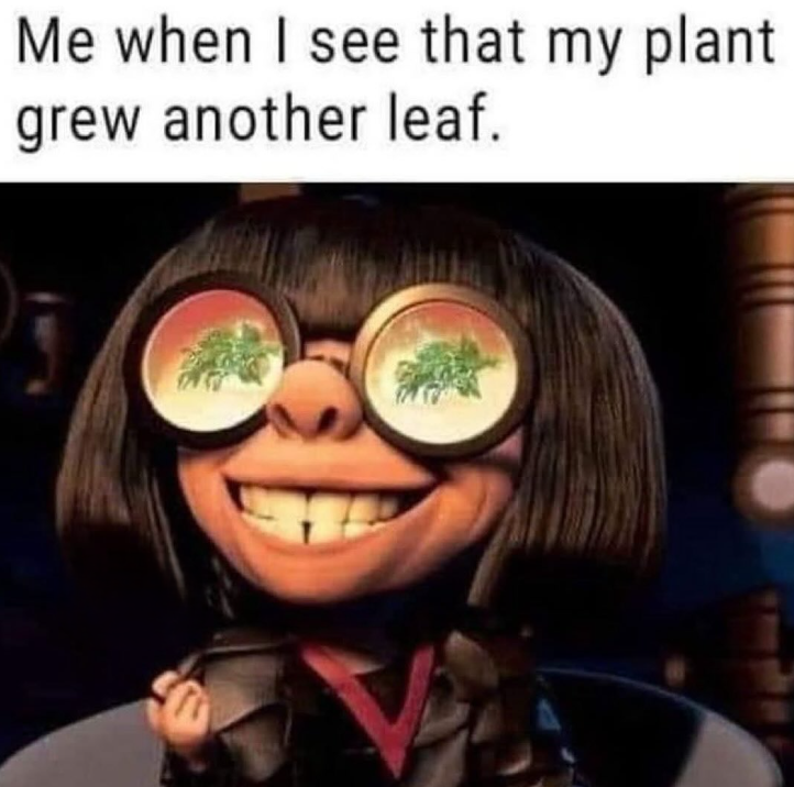 Me when I see that my plant grew another leaf.