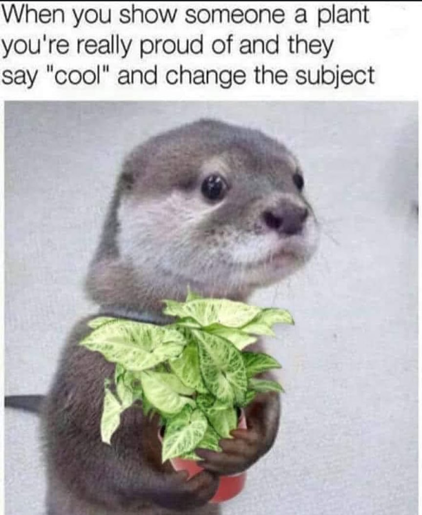 When you show someone a plant you're really proud of and they say "cool" and change the subject