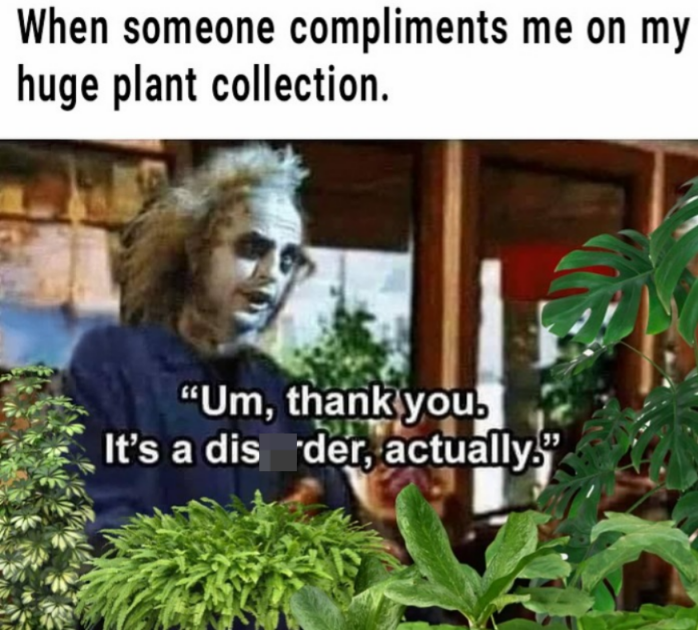 When someone compliments me on my huge plant collection. "Um, thank you. It's a dis der, actually."