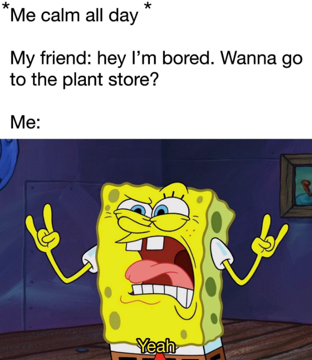 * Me calm all day * My friend: hey I'm bored. Wanna go to the plant store? Me: Yeah