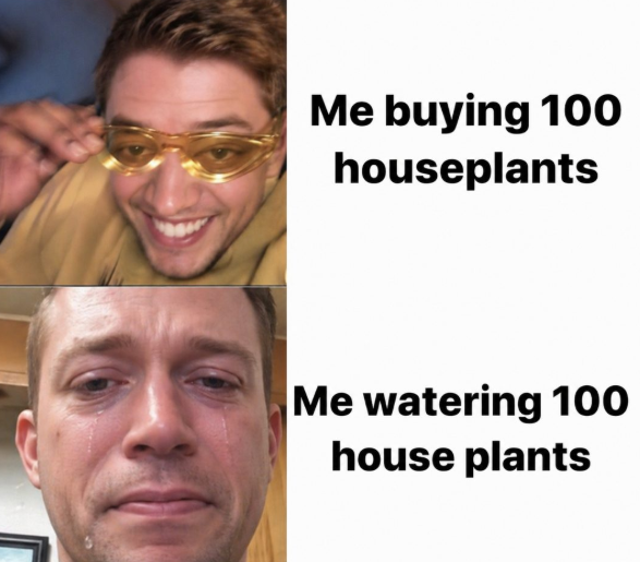 Me buying 100 houseplants Me watering 100 house plants