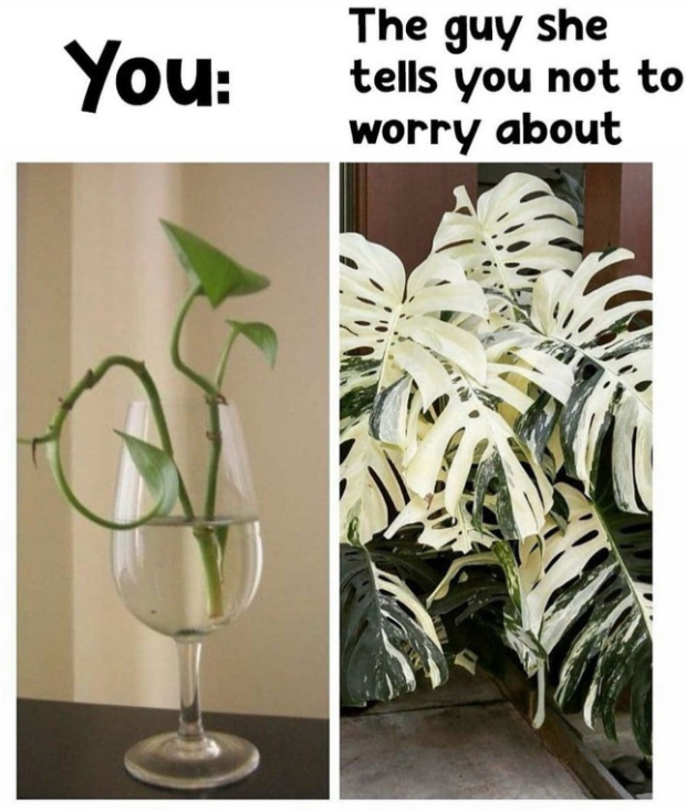 You: The guy she tells you not to worry about