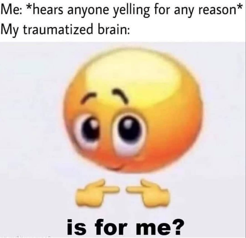 Me: *hears anyone yelling for any reason* My traumatized brain: is for me?
