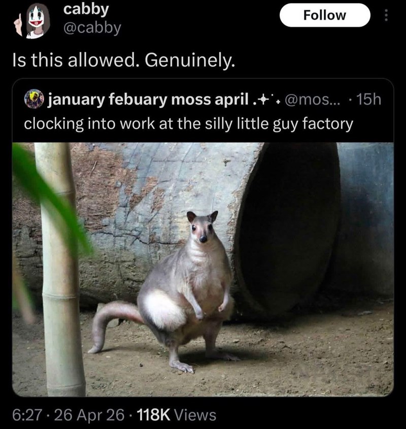 cabby @cabby Is this allowed. Genuinely. Follow january febuary moss april .+@mos... 15h clocking into work at the silly little guy factory . 6:27 26 Apr 26 - 118K Views