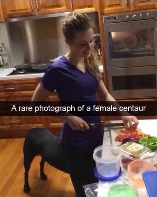 A rare photograph of a female centaur