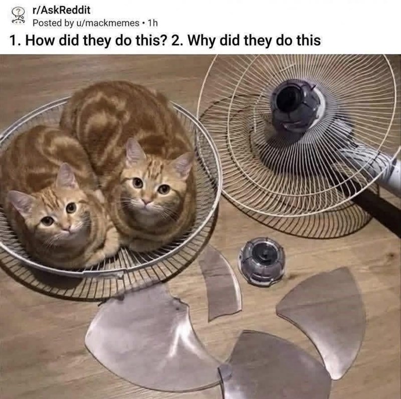 r/AskReddit Posted by u/mackmemes ⚫ 1h 1. How did they do this? 2. Why did they do this