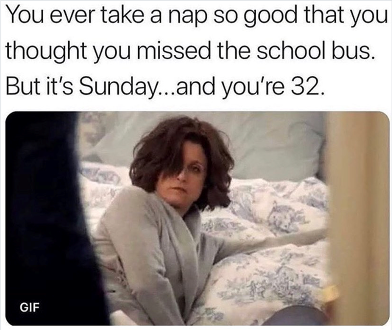 You ever take a nap so good that you thought you missed the school bus. But it's Sunday...and you're 32. GIF