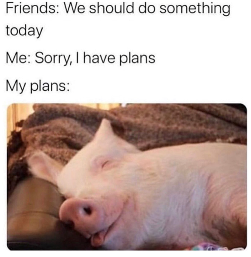 Friends: We should do something today Me: Sorry, I have plans My plans: