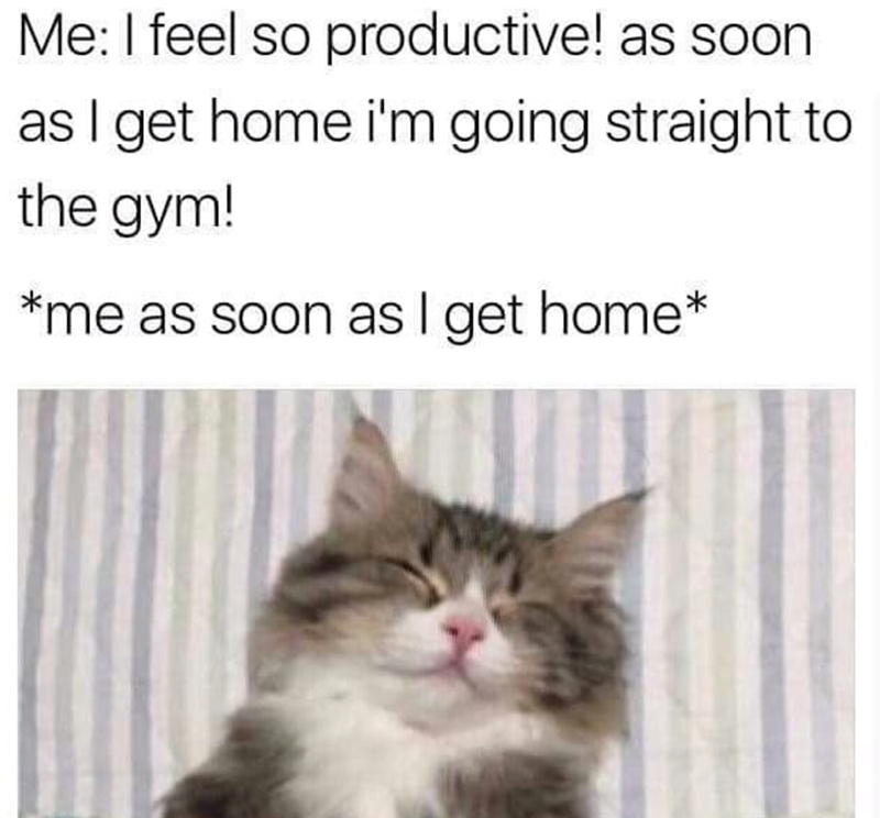 Me: I feel so productive! as soon as I get home i'm going straight to the gym! *me as soon as I get home*