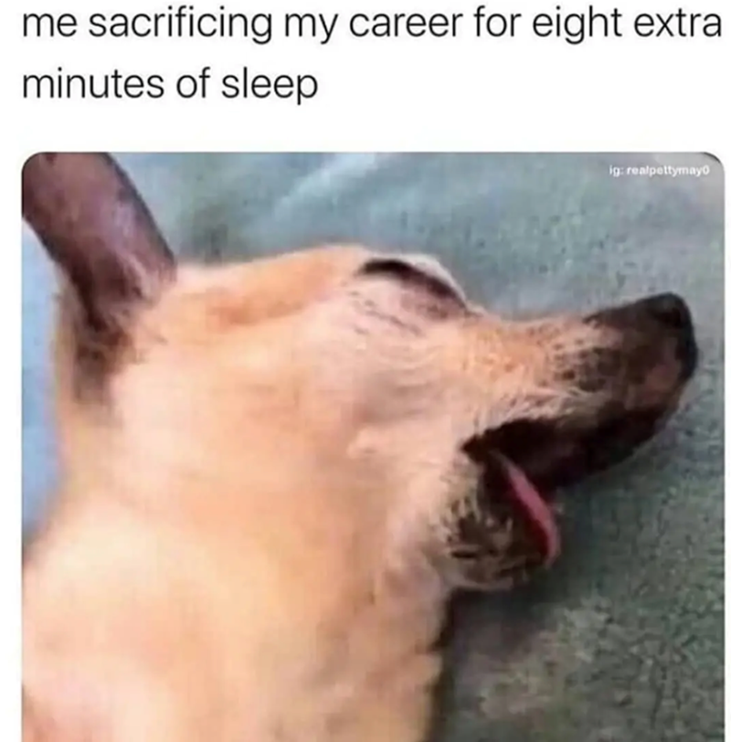 me sacrificing my career for eight extra minutes of sleep ig: realpettymayo