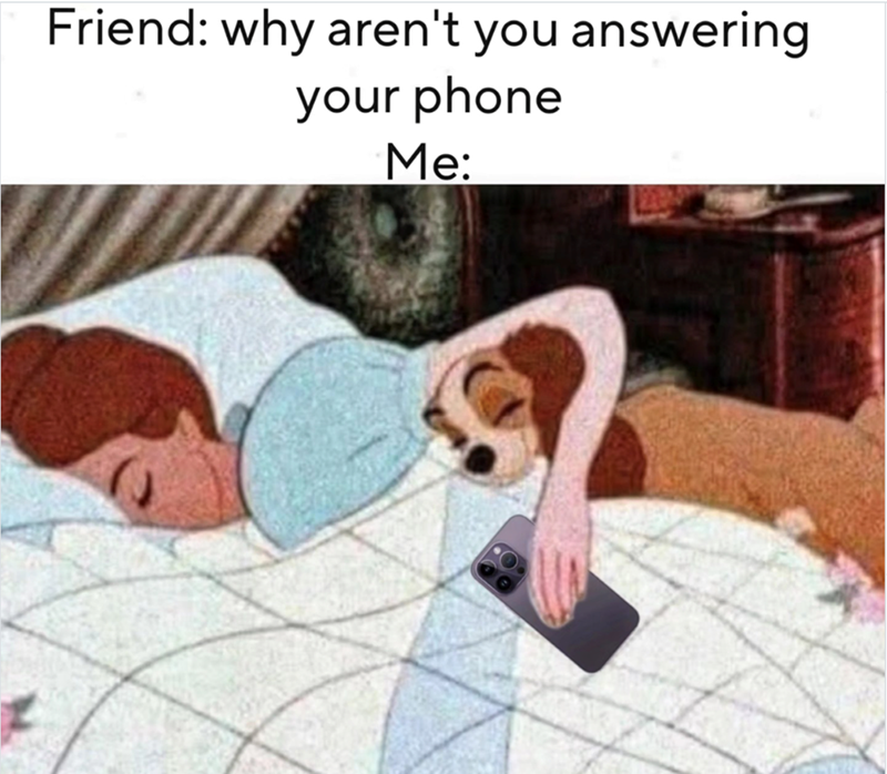 Friend: why aren't you answering your phone Me: