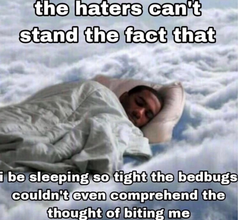 the haters can't stand the fact that i be sleeping so tight the bedbugs couldn't even comprehend the thought of biting me