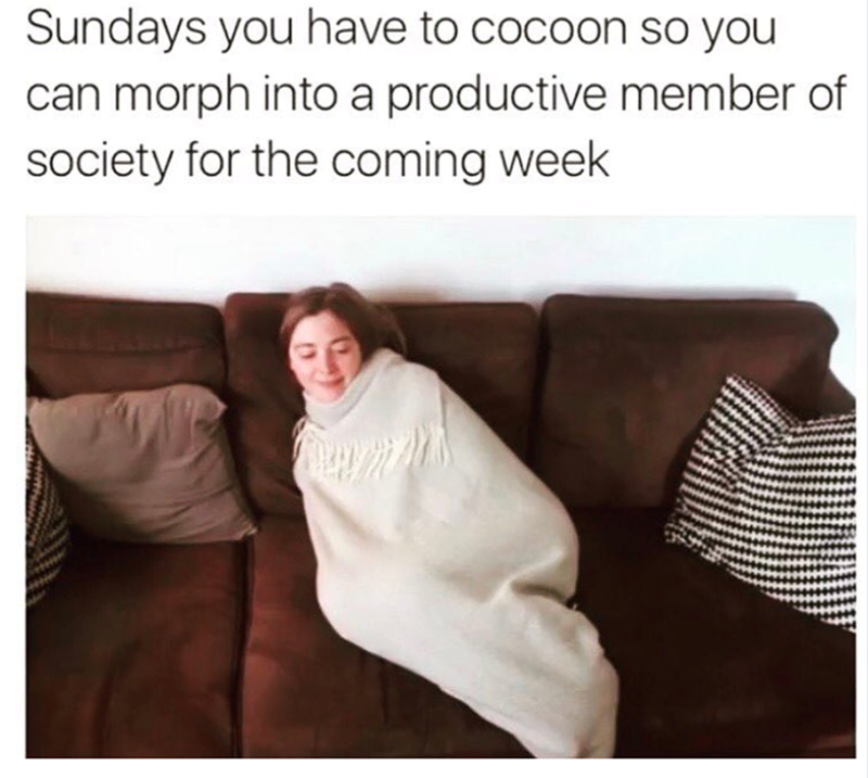 Sundays you have to cocoon so you can morph into a productive member of society for the coming week