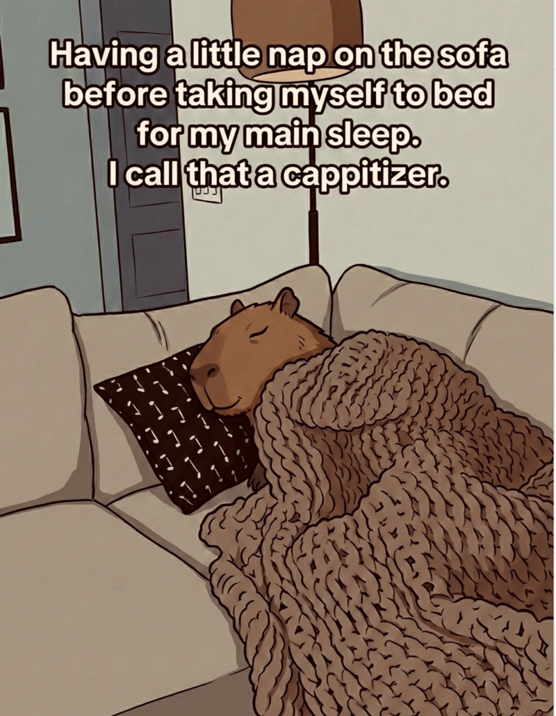 Having a little nap on the sofa before taking myself to bed for my main sleep. I call that a cappitizer.