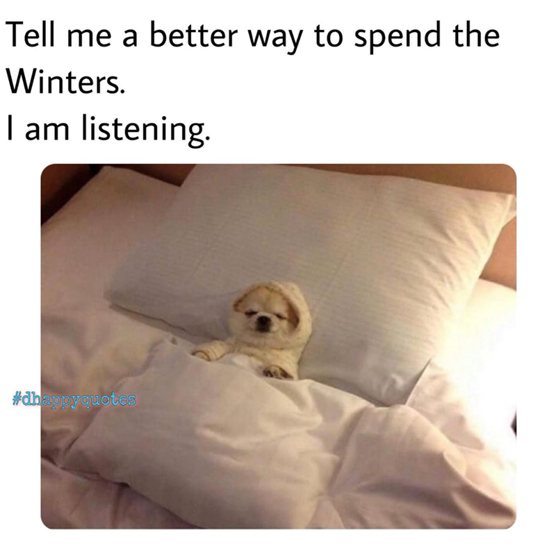 Tell me a better way to spend the Winters. I am listening. #dhappyquotes