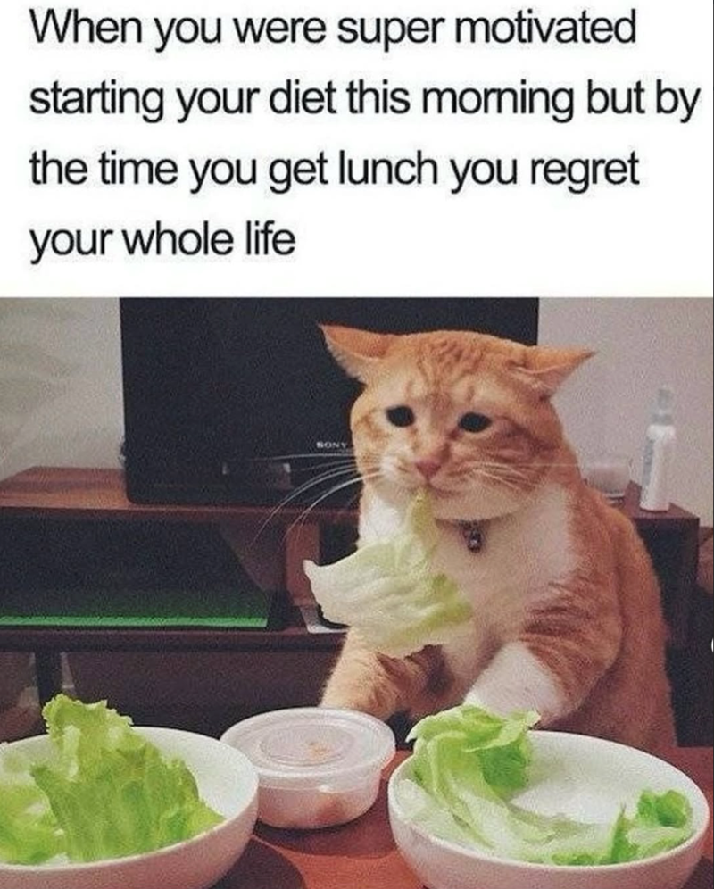 When you were super motivated starting your diet this morning but by the time you get lunch you regret your whole life