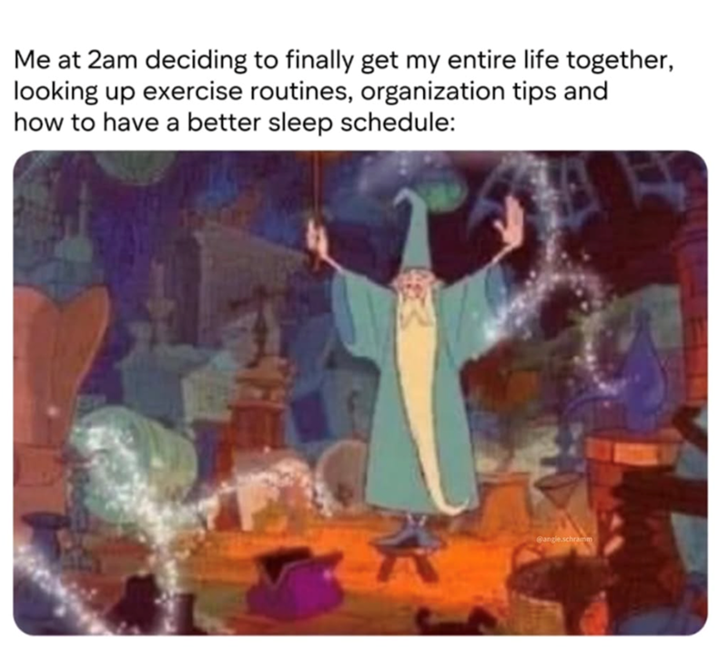 Me at 2am deciding to finally get my entire life together, looking up exercise routines, organization tips and how to have a better sleep schedule: @angie.schramm