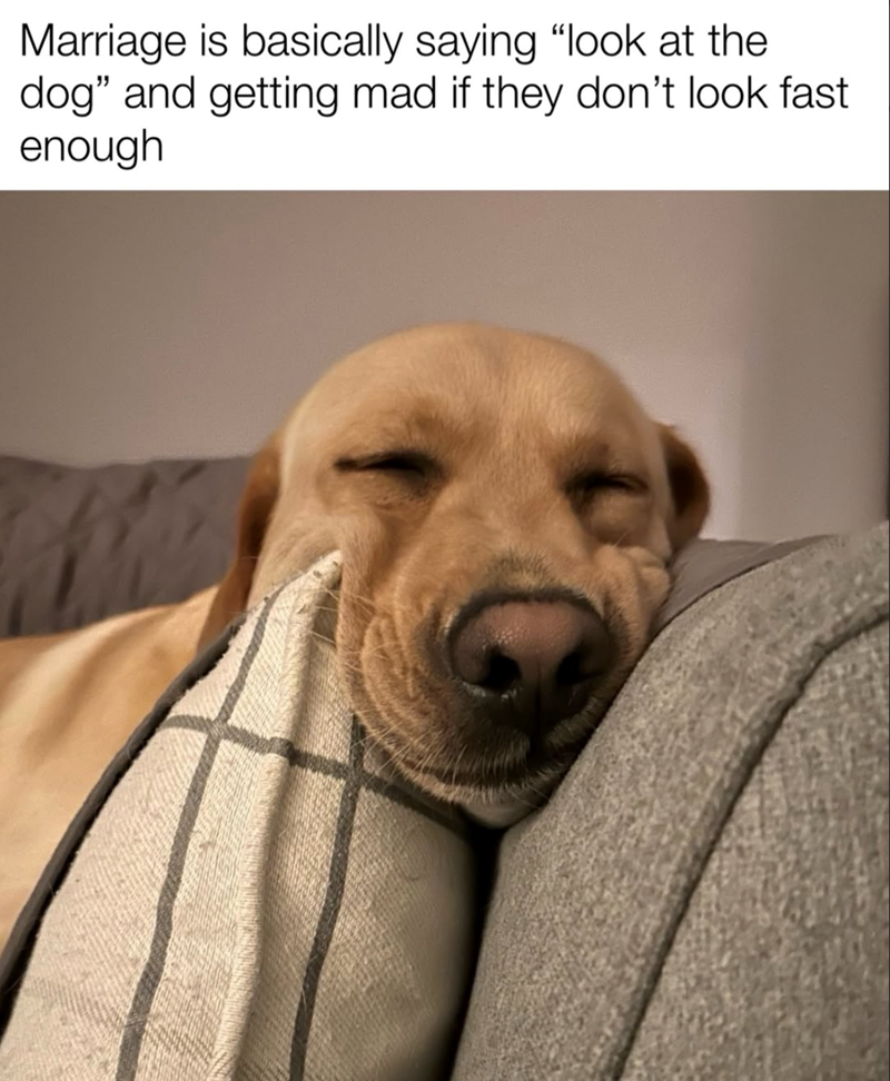 Marriage is basically saying "look at the dog" and getting mad if they don't look fast. enough