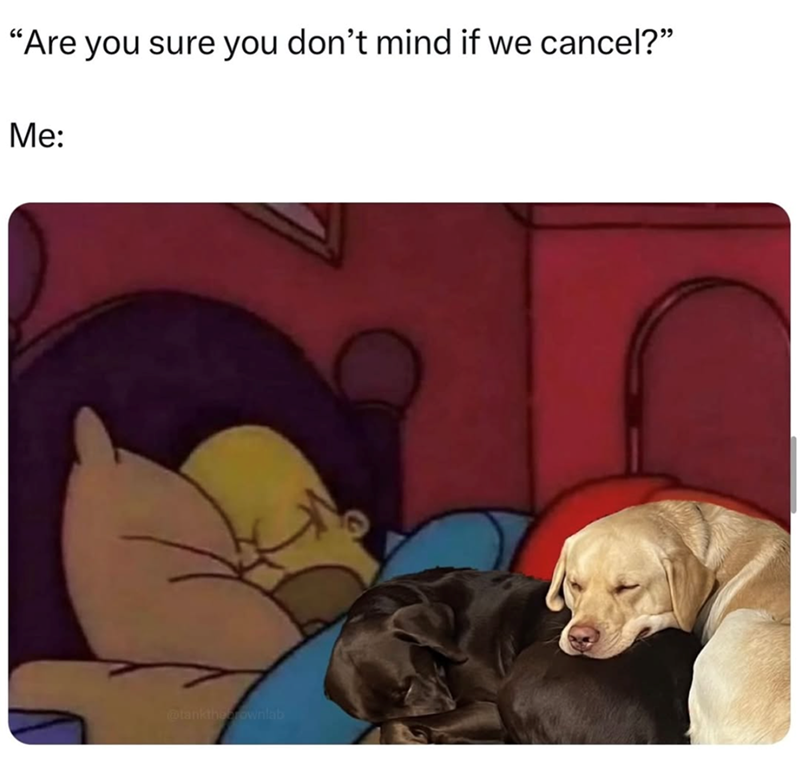 "Are you sure you don't mind if we cancel?" Me: @tankthaownlab
