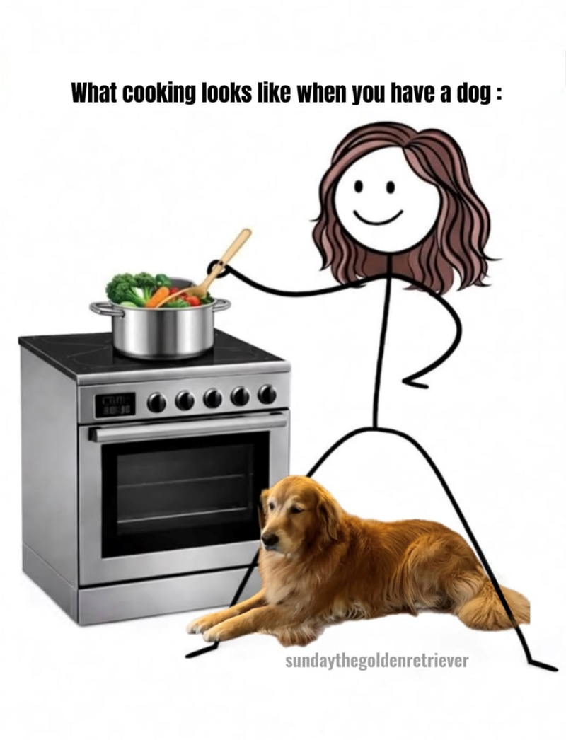 What cooking looks like when you have a dog : sundaythegoldenretriever