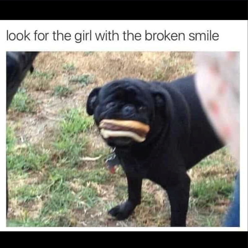 look for the girl with the broken smile