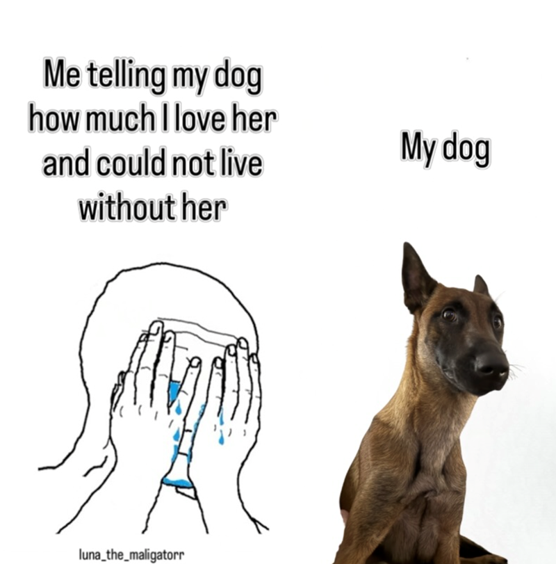 Me telling my dog how much I love her and could not live without her luna_the_maligatorr My dog