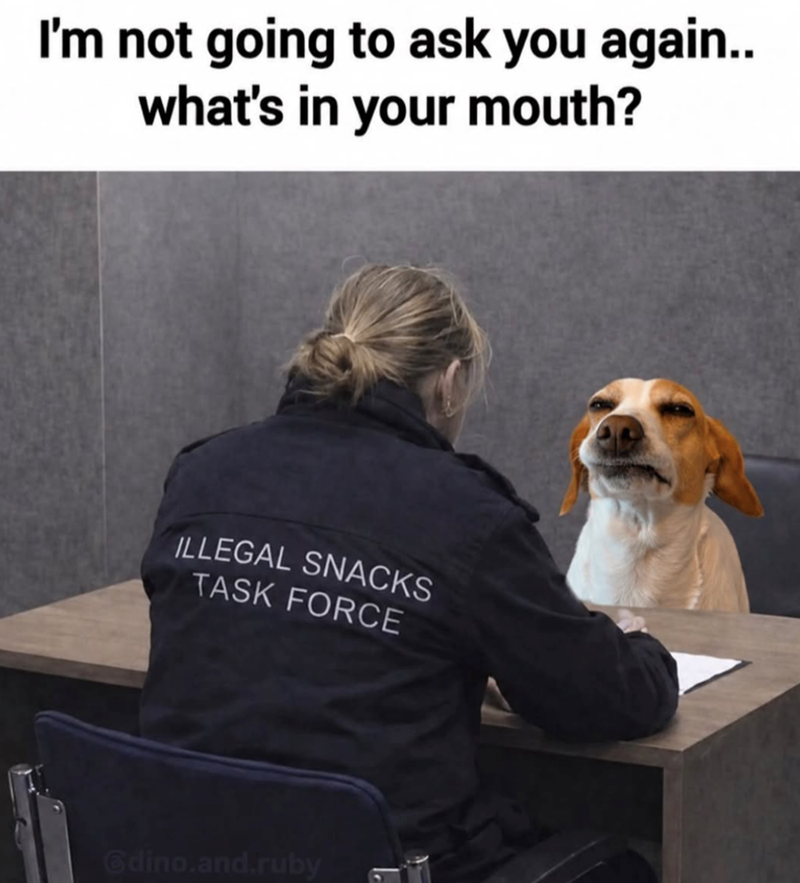 I'm not going to ask you again.. what's in your mouth? ILLEGAL SNACKS TASK FORCE dino.and.ruby 1