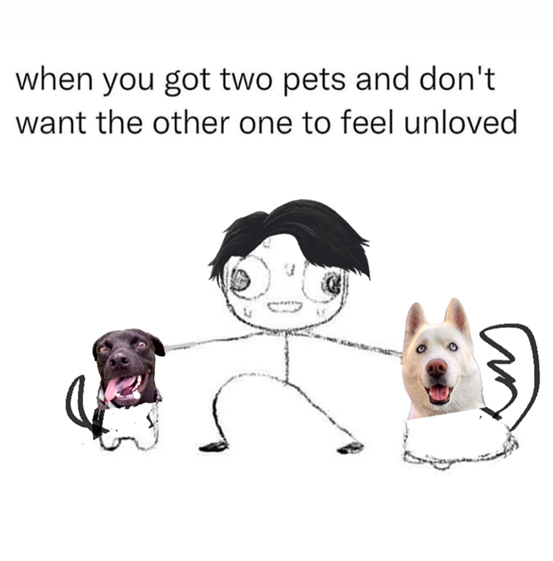 when you got two pets and don't want the other one to feel unloved