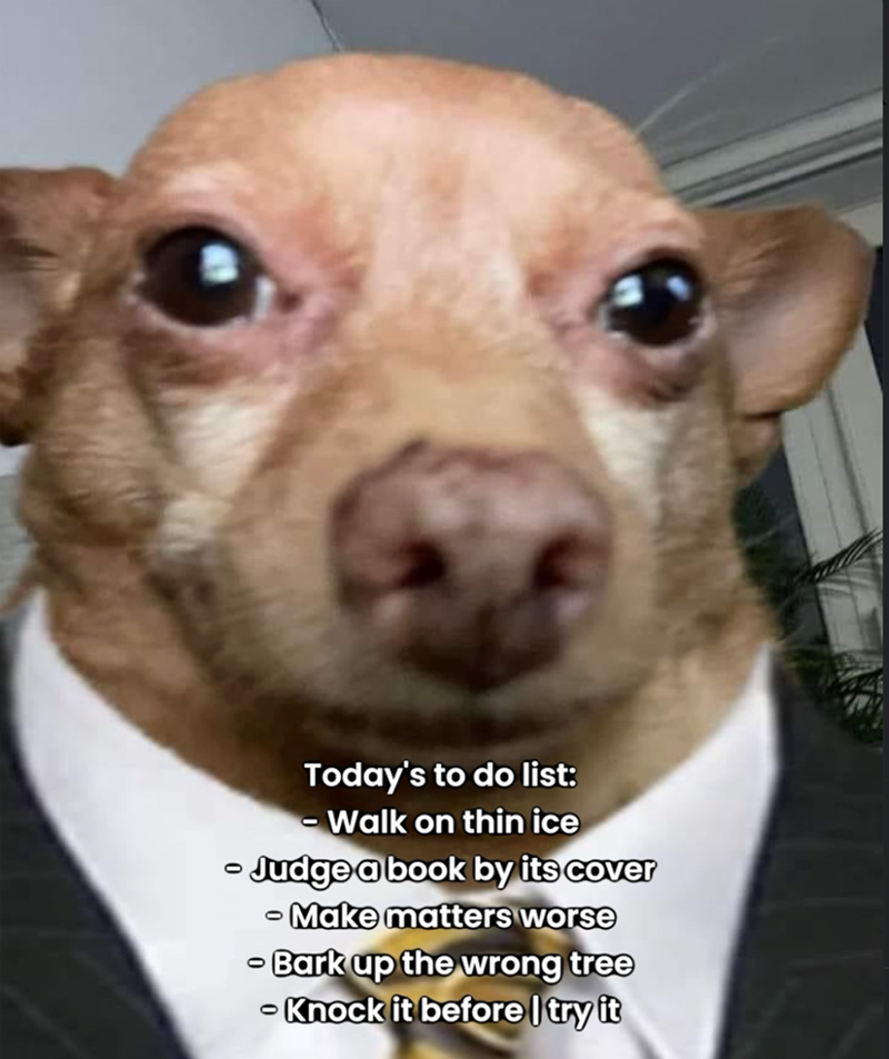 Today's to do list: - - Walk on thin ice - Judge a book by its cover -Make matters worse -Bark up the wrong tree - Knock it before I try it