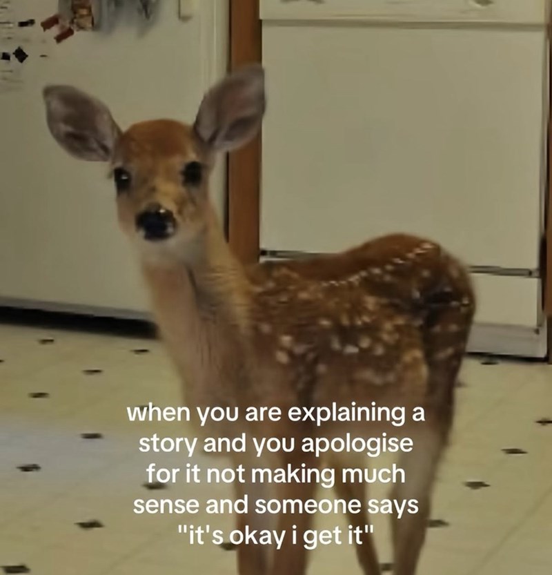 when you are explaining a story and you apologise for it not making much sense and someone says "it's okay i get it"