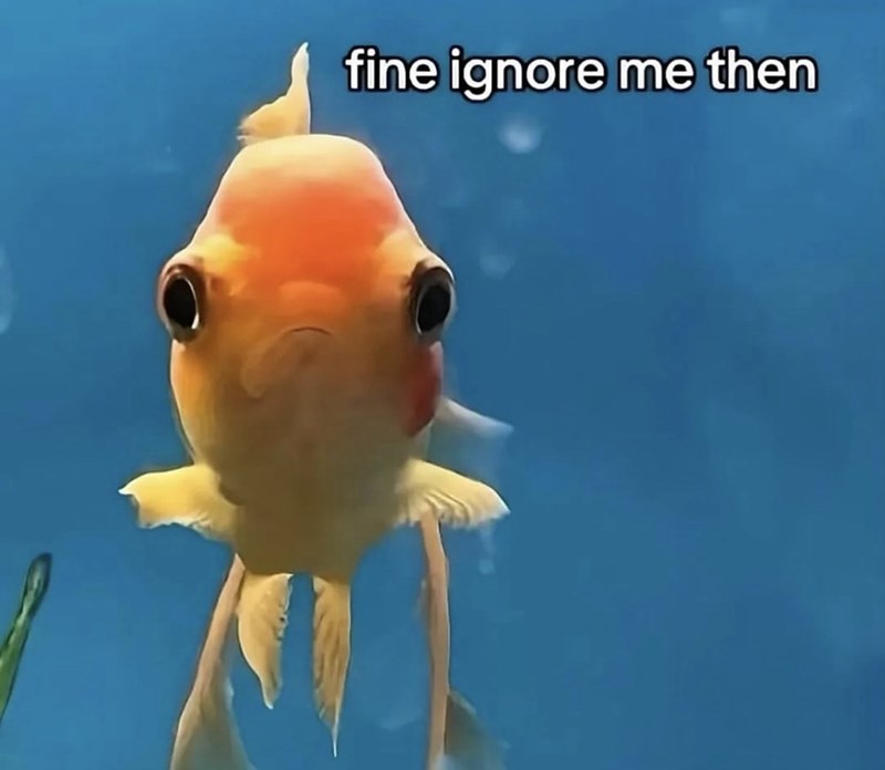 fine ignore me then