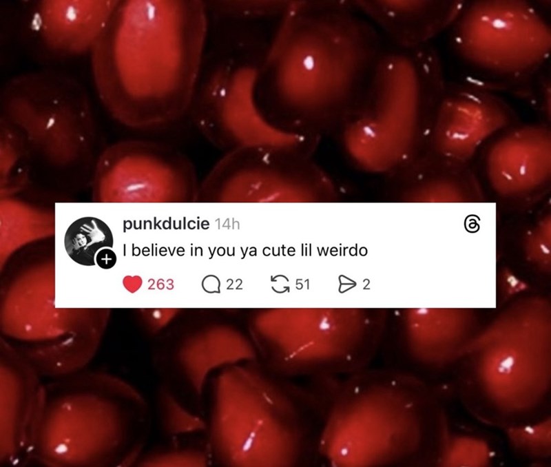 punkdulcie 14h I believe in you ya cute lil weirdo 263 Q22 51 > 2 (