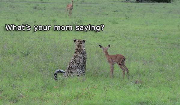 What's your mom saying?
