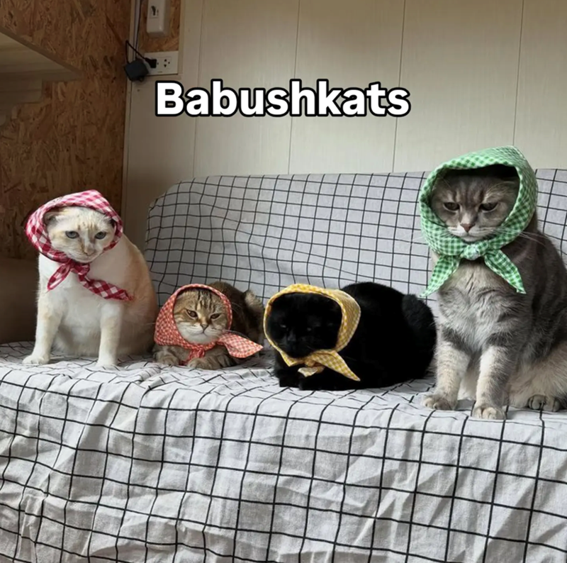 Babushkats