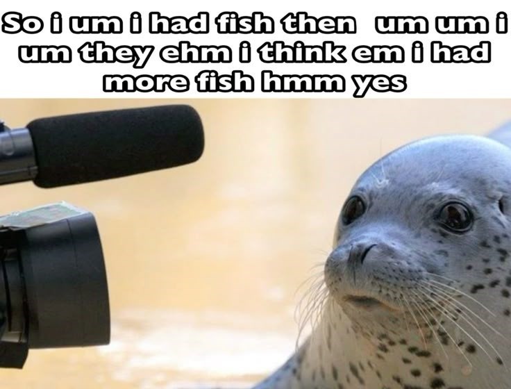 So i um i had fish then um umi um they ehm i think em i had more fish hmm yes