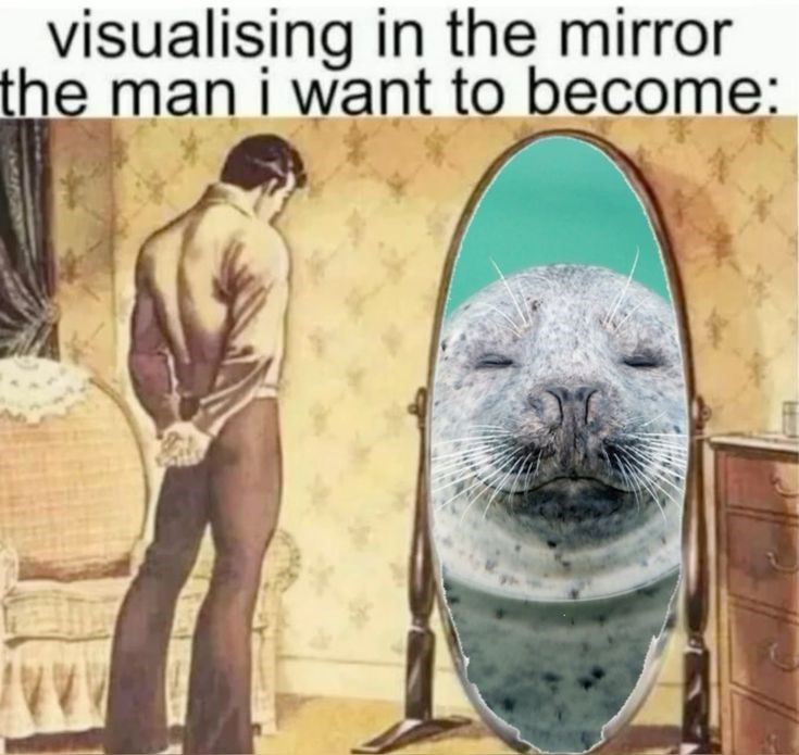 visualising in the mirror the man i want to become: