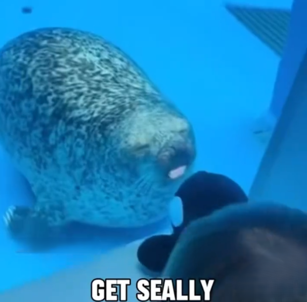 GET SEALLY