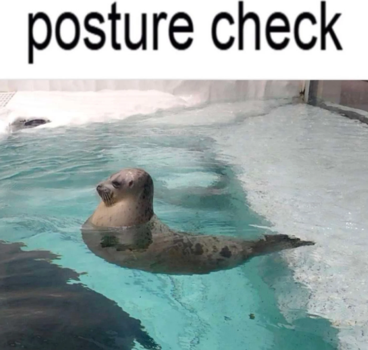 posture check